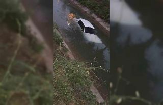 Alkollü sürücü kanala uçtu