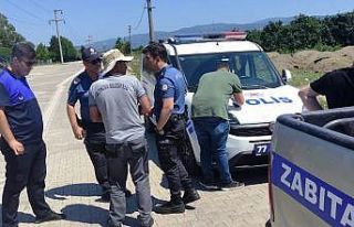 Altınova’da 3 kasa deniz börülcesiyle yakalandı