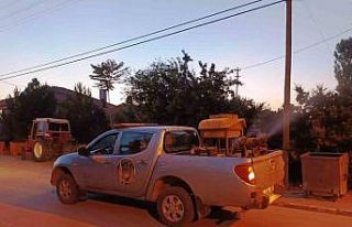 Altıntaş Belediyesi sinek, sivrisinek ve haşerelere...