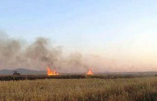 Altıntaş’ta biçerdöver kaynaklı çıkan yangında...