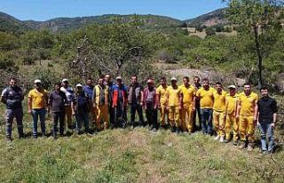 Amasya’da menengiç ormanları ‘fıstık’ gibi...