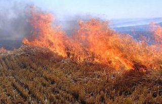 Anız yakımı toprağın çoraklaşması ve verimsizleştirmesinde...