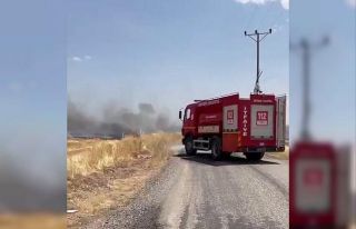 Anız yangını korkuttu