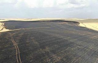 Anız yangınlarıyla milli servet yok oluyor