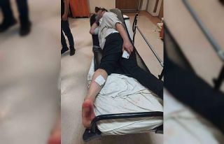 Ankara’da sokak köpeklerinin saldırdığı 2 kişi...