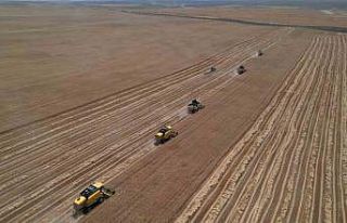 Ankara’nın tahıl ambarında hasat zamanı