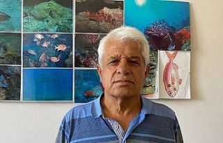 Antalya açıklarında ölü yunus bulundu