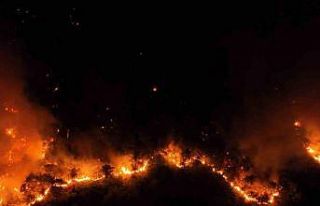 Antalya Büyükşehir Belediyesi Göynük yangını...