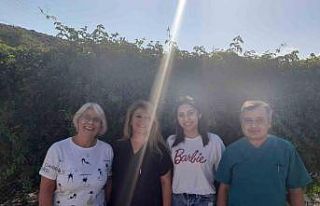 Arabanın çarptığı yavru çakalın tedavisi tamamlandı