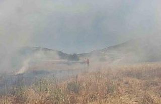 Arazide çıkan yangın ormanlık alana sıçramadan...