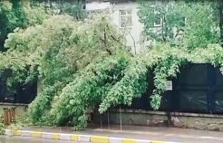 Ardahan’da yıldırım çarpması sonucu bir çocuk...