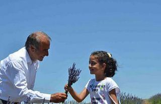 Arguvan mor renge büründü