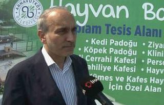 Arnavutköy’de sokak hayvanları için dev proje:...