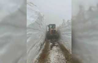 Artvin’de yayla yollarında karla mücadele Temmuz...