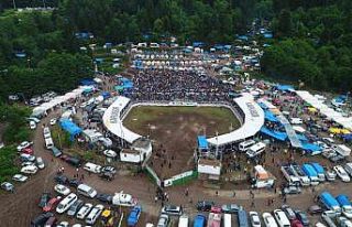 Artvin’in Kafkasör Yaylasında boğaların 42....