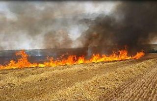 Aşırı sıcaklar hububat tarlalarında yangın riskini...
