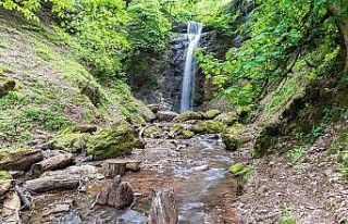 Astara’nın saklı diyarının incisi: Sim Köyü