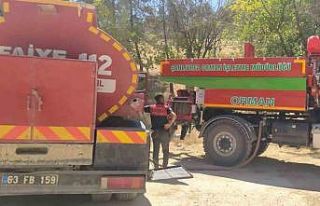 Atatürk Barajı ormanında korkutan yangın