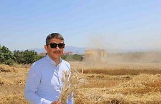 Atıl arazi ekonomiye kazandırıldı, ihtiyaç sahiplerinin...