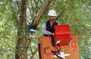 Atıl durumdaki elektrik panoları kuş yuvalarına...