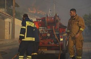 Atina yakınlarında iki orman yangını