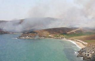 Avşa adasında otluk alanda yangın