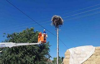 Ayağına ip bağlanan yavru leylek kurtarıldı