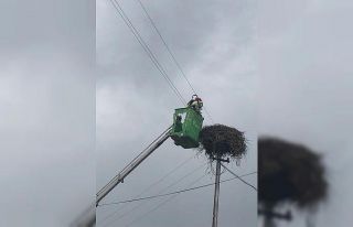 Ayağına ip dolanan leylek kurtarıldı