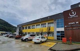 Ayancık’ta ayı saldırısı: 1 yaralı