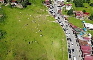 Ayder Yaylası’nı Kurban Bayramı tatili boyunca...