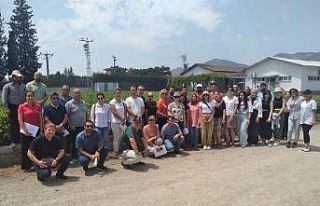 Aydın inciri Muğla’da da yetişecek