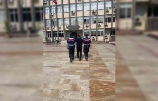 Aydın’da aranan şahıslar jandarmadan kaçamadı