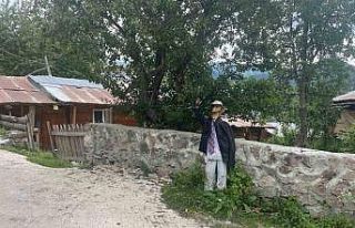 Ayılar Artvin’de köylüleri canından bezdirdi:...