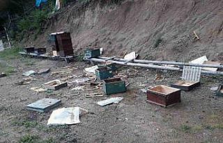 Ayılar çitin altını kazarak girdikleri alandaki...