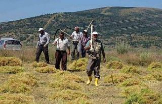 Aylıkları 30 bin liraya geliyor ancak sayıları...