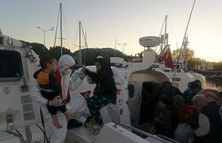 Ayvacık açıklarında Yunan unsurlarınca ölüme...