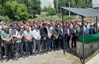 Baba-oğul gözyaşlarıyla uğurlandı