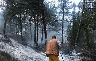 Bademlik tepesinde çıkan yangın söndürüldü