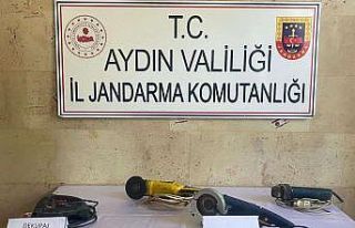 Bağ evi hırsızları kısa sürede yakalandı