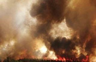 Bakan Yumaklı: "Kınık’taki orman yangını...