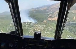 Bakan Yumaklı, Milas’taki yangının kontrol altına...