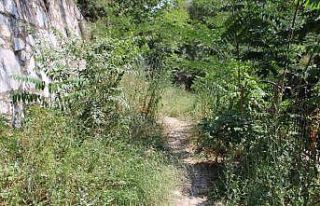 Bakımsız kalan Pınarbaşı alt yolu harabeye döndü