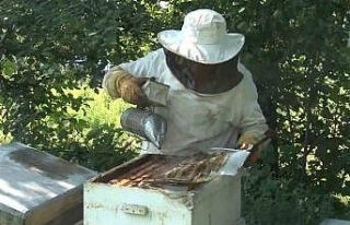 Bal üretiminde dünyada ikinci sıradayız