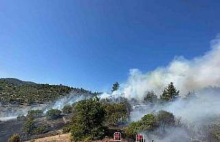 Balıkesir ile Kütahya arasındaki ormanlık alanda...