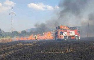 Balıkesir’de 75 dönüm buğday tarlası yandı
