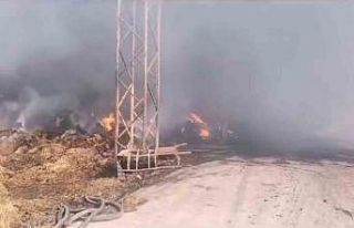 Balıkesir’de çiftlikteki yangına müdahale devam...