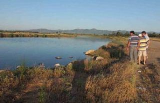 Balıkesir’de derelerde artan kirlilik, toplu balık...