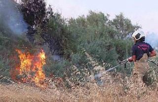 Balıkesir’de karganın neden olduğu anız yangını...