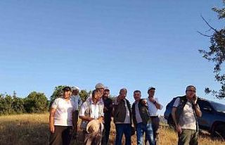 Balıkesir’deki orman yangını kontrol altına...