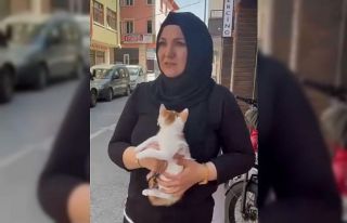 Balkonda mahsur kalan yavru kediyi itfaiye kurtardı